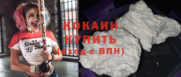 ешки Арсеньев